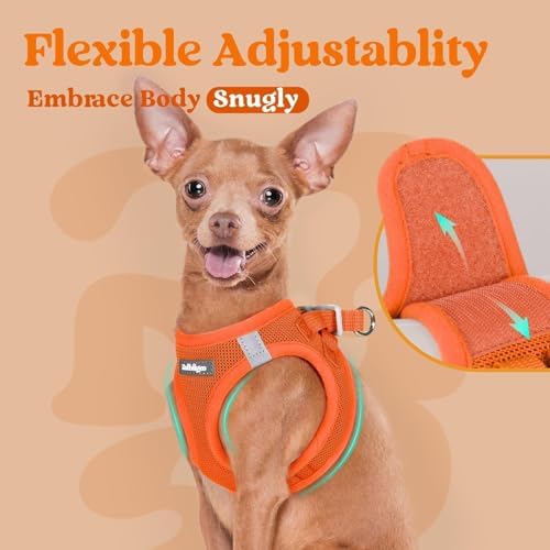 rabbitgoo Step-in Small Dog Harness, Puppy Vest for Medium Sized Pet - Image 6