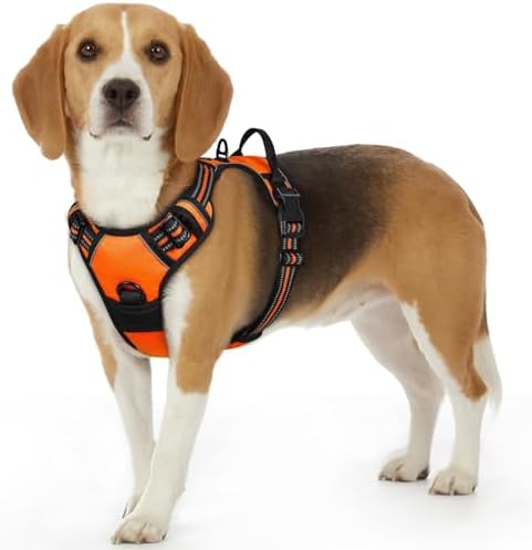 Eagloo Dog Harness for Small Dogs, No Pull Pet Vest with 2 Leash Clips by GoExplorewithEagloo