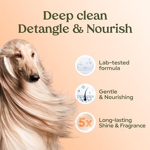 PAWFUME Deshedding Dog Shampoo and Conditioner, Show Dog, 1-Pack - Image 5