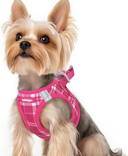 rabbitgoo Step-in Small Dog Harness, Puppy Vest for Small Sized Pet by rabbitgoo