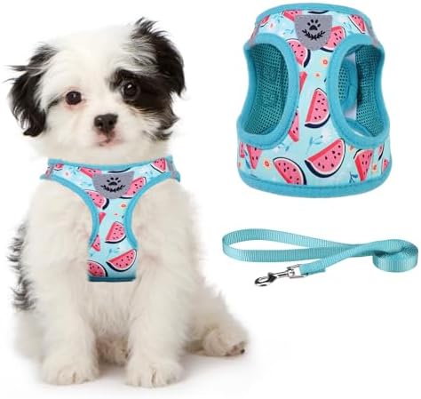 KOOLTAIL Dog Harness and Leash Set for Small Medium Dogs, Step in No Pull Soft Mesh Dog Harness Comfort Padded Pet Vest, Adjustable Reflective Easy Walking Puppy Cats Harness Training, Watermelon S by KOOLTAIL