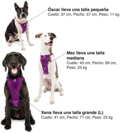 Kurgo Enhanced Strength Tru-Fit Smart Harness, Deep Violet, Small - Image 6