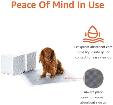 Amazon Basics Carbon Odor Control Dog and Puppy Pee Pads, 5-Layer Leak-Proof Super Absorbent, Quick-Dry Surface for Potty Training, Regular Size 22"x22", Gray, 80 Count - Image 4