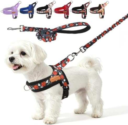 BEAUTYZOO Small Dog Harness and Leash Set, No Pull Halloween Puppy Vest by BEAUTYZOO
