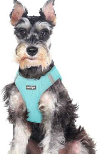 rabbitgoo Step-in Small Dog Harness, Puppy Vest for Medium Sized Pet by rabbitgoo