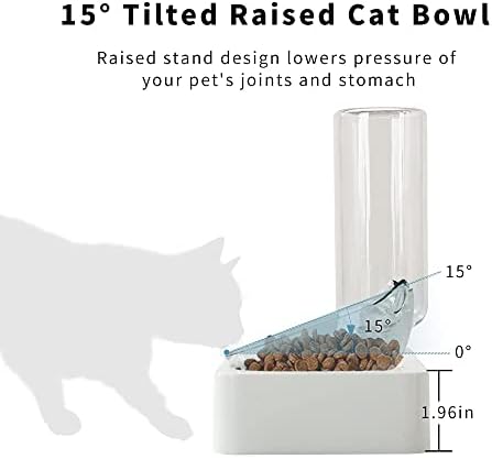 Marchul Double Elevated Dog Cat Bowl, Pets Water and Food Bowl Set, 15° Raised Tilted Dishes Indoor for Kitten, Puppies, Small or Medium Size Dogs Cats - Image 4