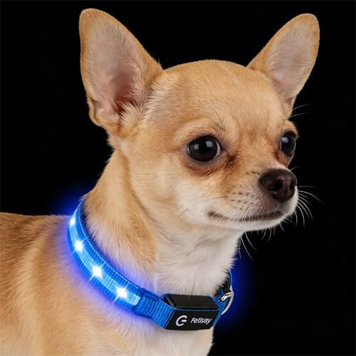 Super Bright LED Dog Collar, Waterproof Light up Collars(Blue, Small) by PetIsay