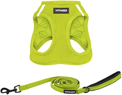 Best Pet Supplies Voyager Step-in Air All Weather Mesh Harness and Reflective Dog 5ft Leash Combo with Neoprene Handle, for Small, Medium and Large Breed Puppies - Lime Green, X-Small by BestPetSuppliesLLC