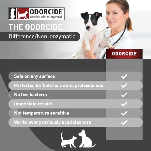 Odorcide KOE Frost Concentrate, 128 oz - Image 5