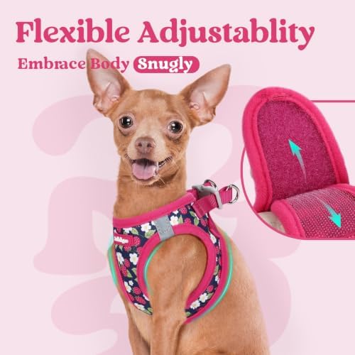rabbitgoo Step-in Small Dog Harness, Puppy Vest for Small Sized Pet - Image 7