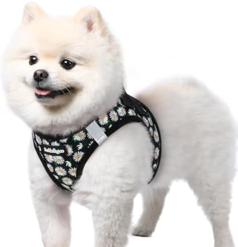 rabbitgoo Step-in Small Dog Harness, Puppy Vest for Small Sized Pet by rabbitgoo