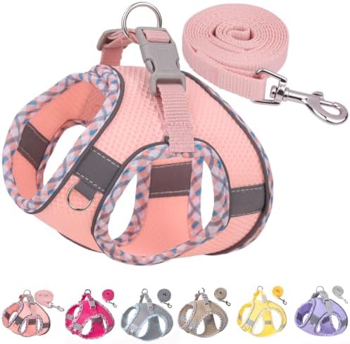 Petank Step in Dog Harness No Pull and Leash for Small Medium Dogs Cats. by PetankCareforEveryPaw