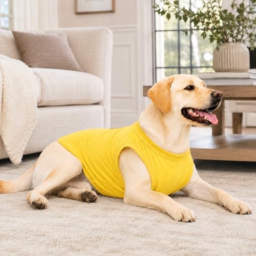 2018 Pet Clothes Dog Clothing Blank T-Shirt Tanks Top Vests for Small Middle Large Size Dogs 100% Cotton Dog Summer Vest Classic (M, Yellow) - Image 6