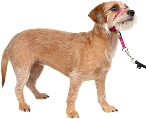 PetSafe Gentle Leader No Pull Dog Headcollar, Raspberry Pink, Small by PetSafe