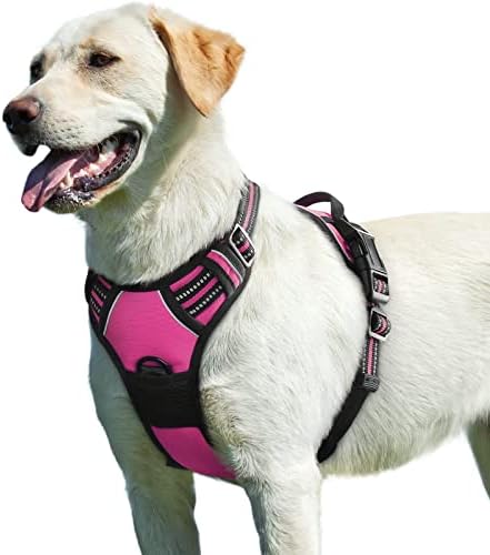 Eagloo Dog Harness for Large Dogs, No Pull Pet Vest with 2 Leash Clips by GoExplorewithEagloo