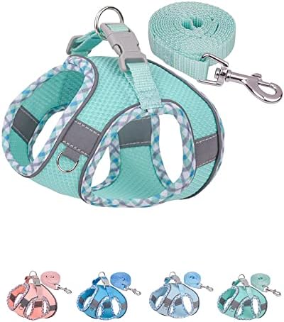Petank Step in Dog Harness No Pull and Leash for Small Medium Dogs Cats. by PetankCareforEveryPaw