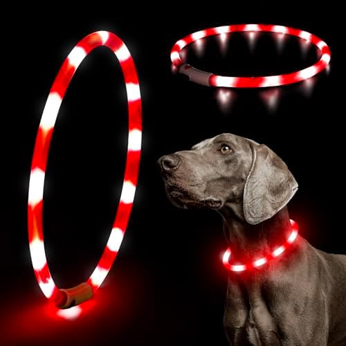 HIGO Light Up Dog Collar, Lightweight Silicone LED Dog Collar, USB Rechargeable Dog Collar Light for Dogs Cats Walking at Night (Red-Silicone) by Higo