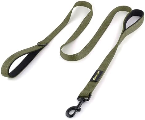 Plutus Pet Double Handle Dog Leash, 6 FT Long, for Medium Large Dogs by PLUTUSPET