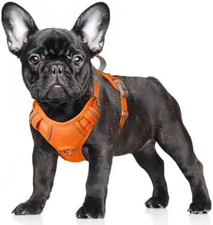 BARKBAY No Pull Dog Harness Large Reflective Dog Harness with Front Clip and Easy Control Handle for Walking Training Running with ID tag Pocket(Orange,S) by BARKBAY