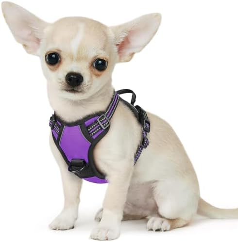 Eagloo Dog Harness for Small Dogs, No Pull Pet Vest with 2 Leash Clips by GoExplorewithEagloo