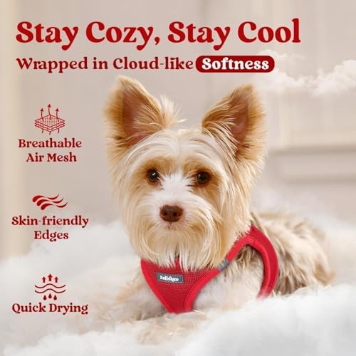 rabbitgoo Step-in Small Dog Harness, Puppy Vest for Medium Sized Pet - Image 3