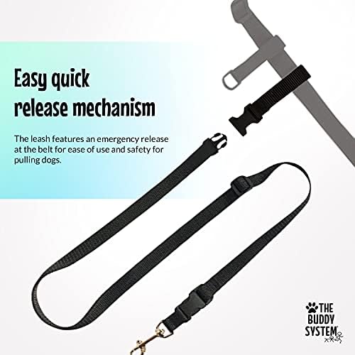 The Buddy System - Hands Free Dog Leash - Small Dog, Large Belt, Black - Image 5