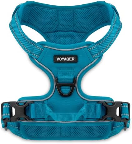 Voyager Dual Attachment No Pull Harness - Turquoise, X-Small by BestPetSuppliesLLC