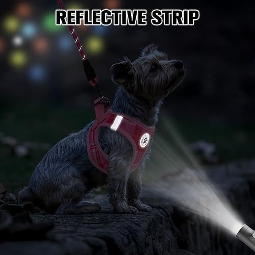 BEAUTYZOO Small Dog Harness and Leash Set, Step in No Choke No Pull Soft Mesh Dog Harnesses Reflective for Small Medium Puppy Dogs and Cats, Plaid Dog Vest Harness for S M Pets, Light Pink XXS - Image 4