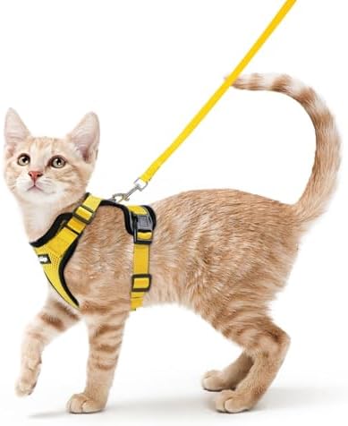 rabbitgoo Cat Harness and Leash Set, Escape Proof Vest, Yellow by rabbitgoo