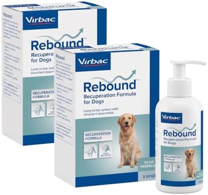 Virbac Rebound® Recuperation Formula for Dogs - Promotes the Restoration of Healthy Digestion, Hydration, and Nutrition (Pack of 2) by Virbac
