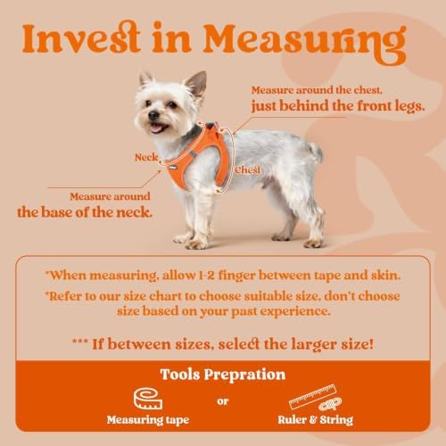 rabbitgoo Step-in Small Dog Harness, Puppy Vest for Small Sized Pet - Image 2
