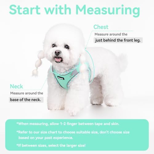Petank Step in Dog Harness No Pull and Leash for Small Medium Dogs Cats. - Image 4