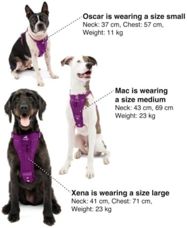 Kurgo Enhanced Strength Tru-Fit Smart Harness, Deep Violet, Medium - Image 6