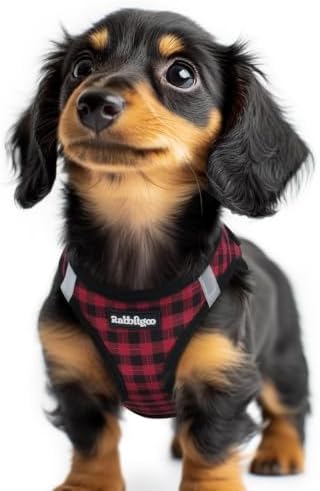 rabbitgoo Step-in Small Dog Harness, Puppy Vest for Small Sized Pet by rabbitgoo