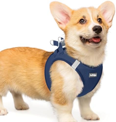 rabbitgoo Step-in Small Dog Harness, Puppy Vest for Small Medium Sized Pet by rabbitgoo