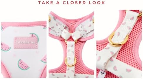 Wagging Tail Premium No Pull Dog Harness - Adjustable, Soft, Cute Dog Vest for Medium, Large & Small Dogs (Watermelons, Large) - Image 3
