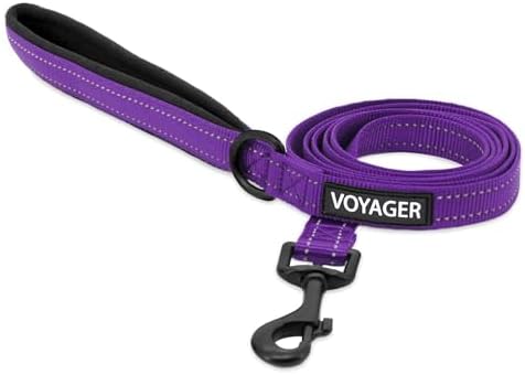 Best Pet Supplies Voyager Nylon Dog Leash - 6ft Purple, Large by BestPetSuppliesLLC