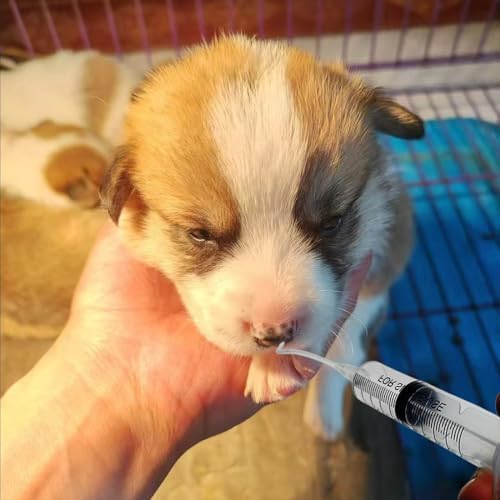 11pcs Puppy Kitten Feeding Tube Kit for Small Animals and Clear Feeding Syringe 5/10/20/30/60ml, Clear Feeding Tube, Syringe Bulb for Puppy Kitten Nestling Feeding Tools - Image 7
