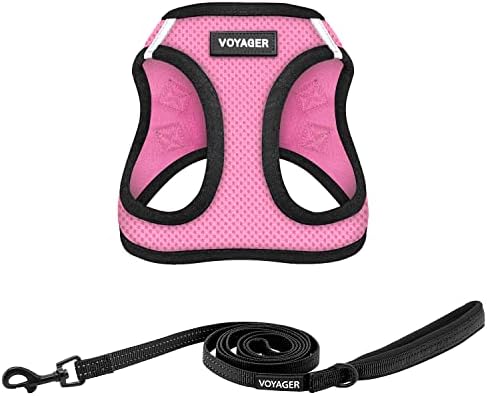 Best Pet Supplies Voyager Step-in Air All Weather Mesh Harness and Reflective Dog 5ft Leash Combo with Neoprene Handle, for Small, Medium and Large Breed Puppies - Pink/Black Trim, XX-Small by BestPetSuppliesLLC