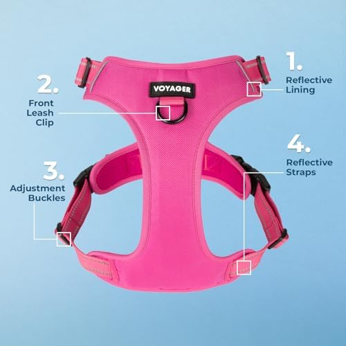 Voyager Dual Attachment No Pull Harness - Fuchsia, Large - Image 6