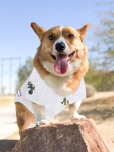Official MLB Oakland Athletics Pet Jersey for Dogs & Cats, Size X-Large - Stylish Baseball Jersey for Your Furry Fan- Show Off Team Spirit with The Perfect Fan Apparel Gear for Pet, Dog & Cat - Image 5