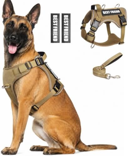 WINSEE No Pull Tactical Dog Harness with Leash Set with 2 Patches by WINSEE