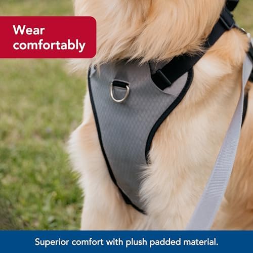 Coastal Pet Inspire Enhanced Core Dog Harness, Green, 5/8" x 16" 24" - Image 4