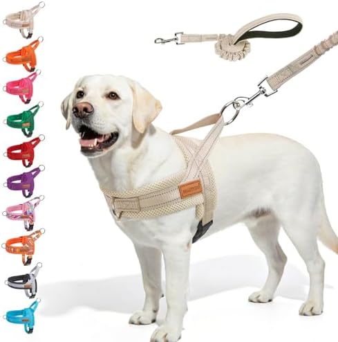 BEAUTYZOO Dog Harness for Large Dogs,No Pull Step in Pet Vest and Leash Set by BEAUTYZOO