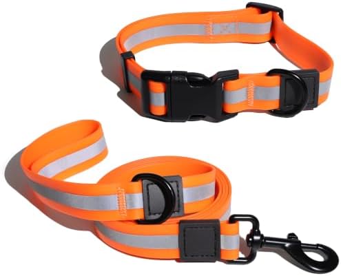 5FT Dog Collar and Leash Set for Small Medium Dogs, Locking Buckle by L%C3%A9wind