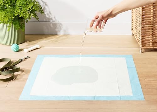 Amazon Basics Leak-Proof Dog and Puppy Potty Training Pee Pads with Quick-Dry 5-Layer Design, Housebreaking, Standard Absorbency, X-Large, 28 x 34 Inch, Blue & White, 60-Pack - Image 3