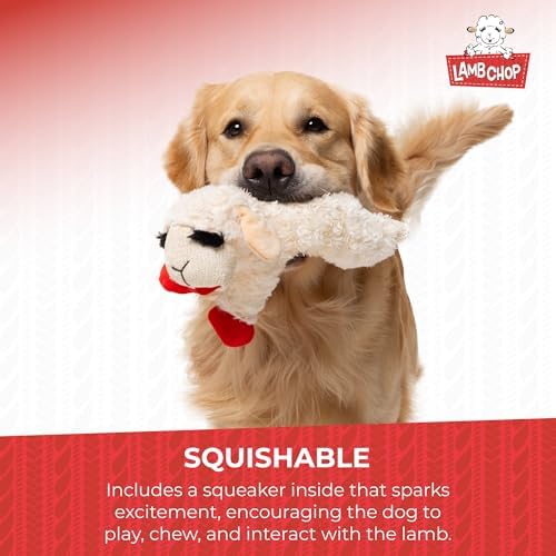 Multipet Lamb Chop Dog Plush Toy - Squeaky Toy for Small & Medium Dogs - Extra Soft Plush - Stuffed Animal for Cuddling & Playing (10", Cream, 5 Squeakers) (Pack of 2) - Image 4