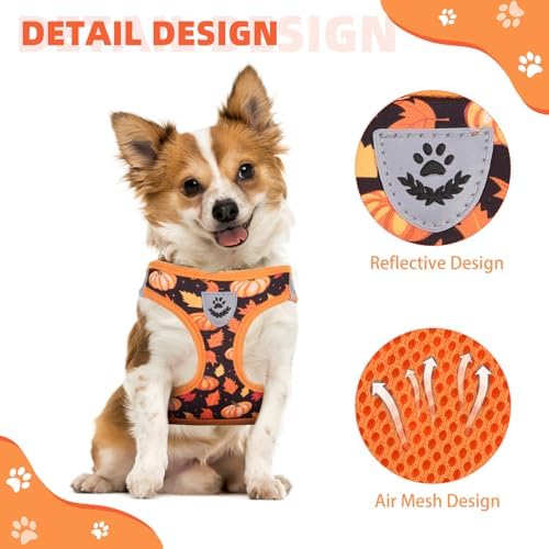 KOOLTAIL Fall Dog Harness and Leash Set for Small Medium Dogs, Thanksgiving Step in No Pull Comfort Padded Pet Vest, Adjustable Reflective Easy Walking Puppy Cats Harness Training, Leaf & Pumpkin S - Image 4