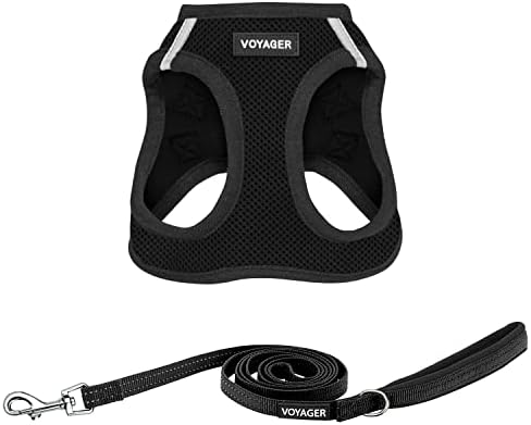 Best Pet Supplies Voyager Step-in Air All Weather Mesh Harness and Reflective Dog 5ft Leash Combo with Neoprene Handle, for Small, Medium and Large Breed Puppies - Black, Medium by BestPetSuppliesLLC