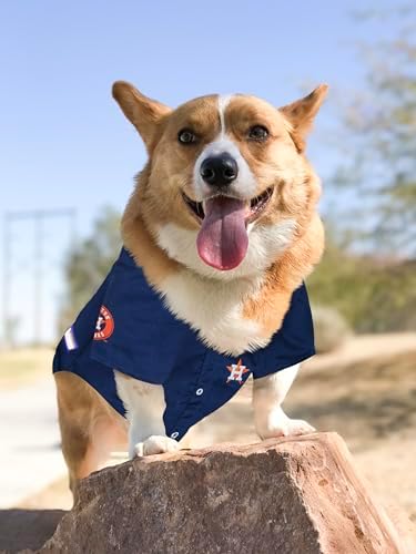 Official MLB Houston Astros Pet Jersey for Dogs & Cats, Size Large - Stylish Baseball Jersey for Your Furry Fan- Show Off Team Spirit with The Perfect Fan Apparel Gear for Pet, Dog & Cat - Image 5